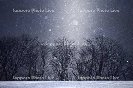 サンピラーとダイヤモンドダスト