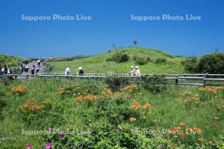 小清水原生花園