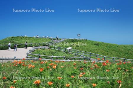 小清水原生花園