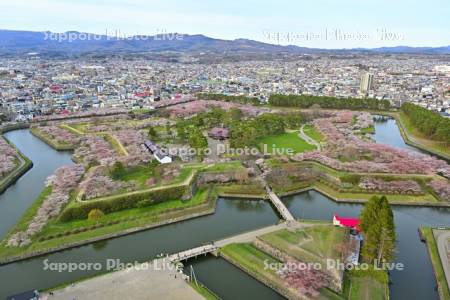 五稜郭タワーから望む五稜郭公園