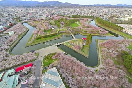 五稜郭タワーから望む五稜郭公園
