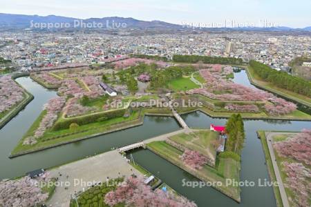 五稜郭タワーから望む五稜郭公園