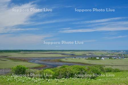 琵琶瀬展望台から望む霧多布湿原