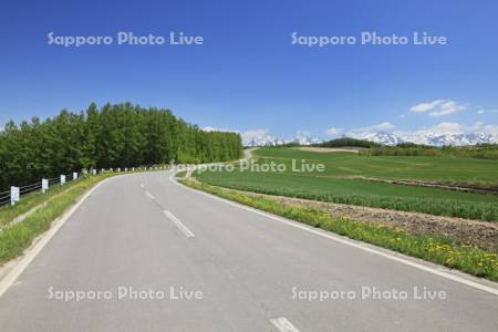 丘の一本道と十勝岳連峰