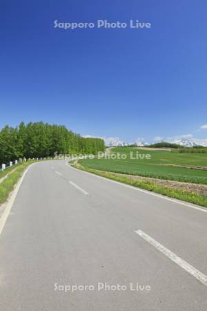 丘の一本道と十勝岳連峰