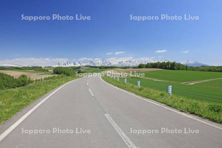 丘の一本道と十勝岳連峰
