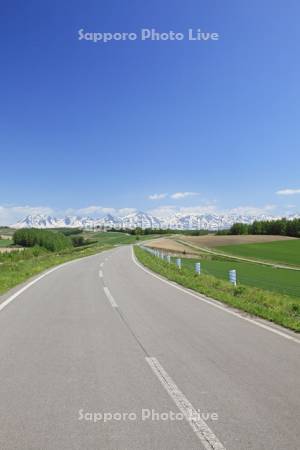 丘の一本道と十勝岳連峰