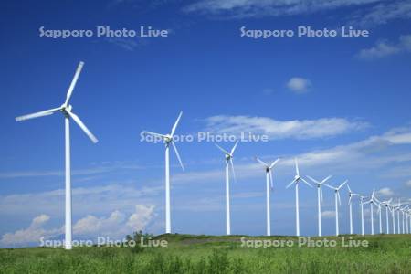 オトンルイ風力発電所