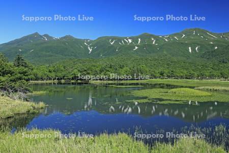知床五湖の第一湖と知床連峰