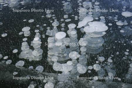 糠平湖のアイスバブル