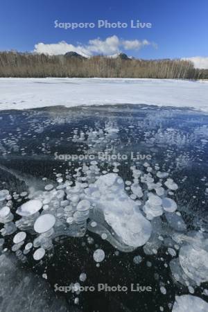糠平湖のアイスバブル