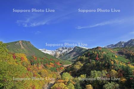 十勝岳温泉の紅葉と上ホロカメットク山