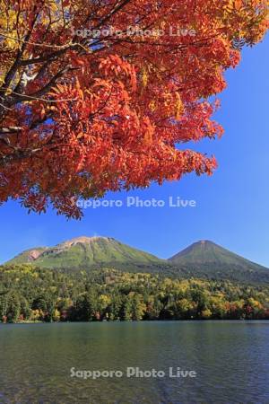オンネトーの紅葉と雌阿寒岳と阿寒富士