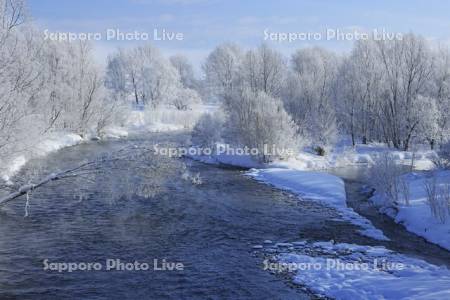 川沿いの霧氷