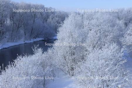 川沿いの霧氷