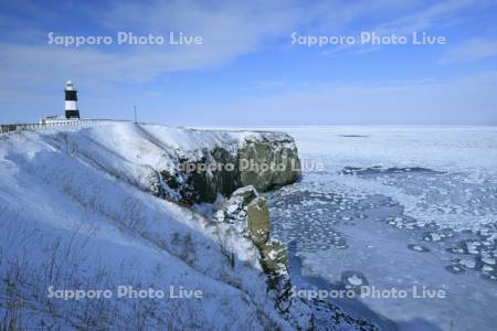 能取岬と流氷