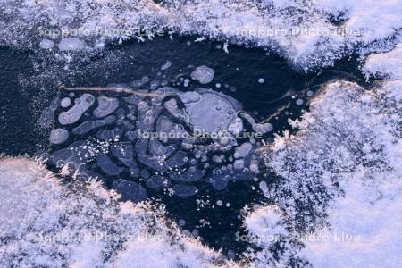 朝の屈斜路湖のアイスバブルとフロストフラワー