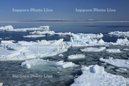 オホーツク海の流氷と国後島