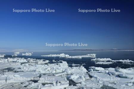 オホーツク海の流氷と国後島
