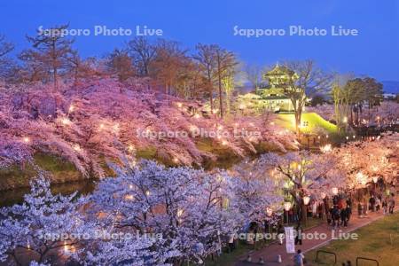 高田城址公園の夜桜