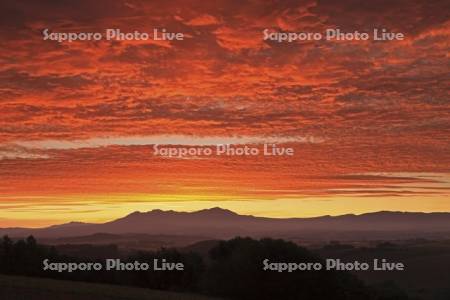 大雪山と朝焼け