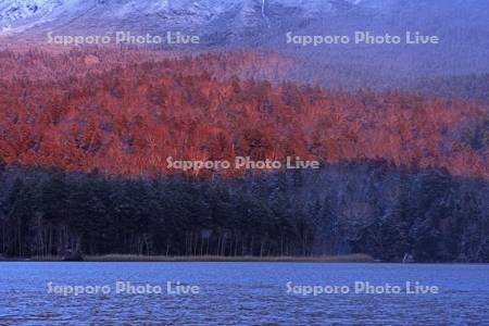 夕焼けの新雪のオンネトー