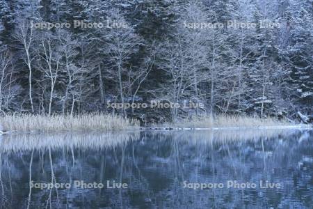 新雪のオンネトー湖畔