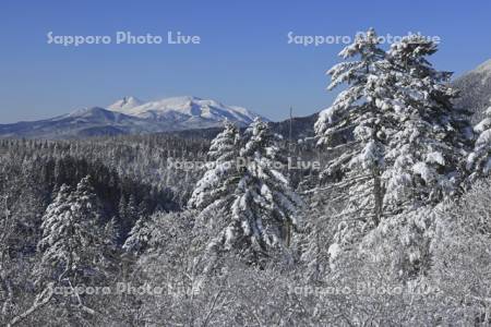 双岳台付近より雪の森と雌阿寒岳