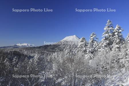 双岳台付近より雪の森と雄阿寒岳