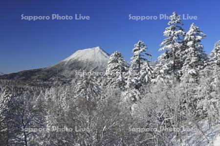 双岳台付近より雪の森と雄阿寒岳