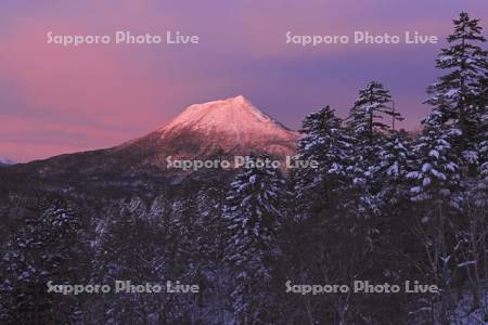 双岳台付近より朝焼けの雄阿寒岳