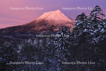 双岳台付近より朝焼けの雄阿寒岳