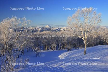 第一展望台から霧氷と雄阿寒岳