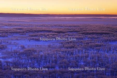 朝焼けの霧氷の釧路湿原