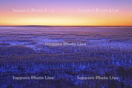 朝焼けの霧氷の釧路湿原