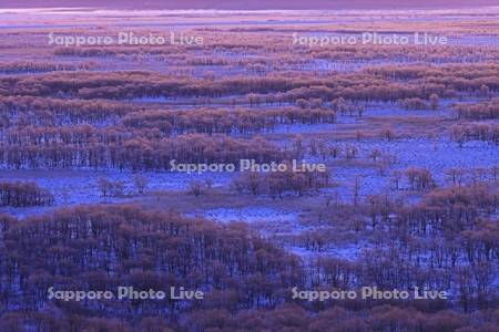 朝焼けの霧氷の釧路湿原