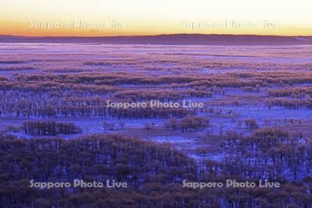 朝焼けの霧氷の釧路湿原