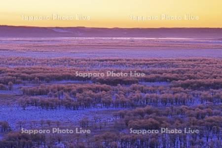 朝焼けの霧氷の釧路湿原