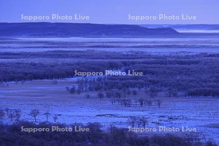 夜明けの霧氷の釧路湿原