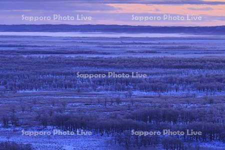 夜明けの霧氷の釧路湿原