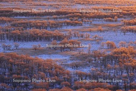 朝焼けに染まる霧氷の釧路湿原