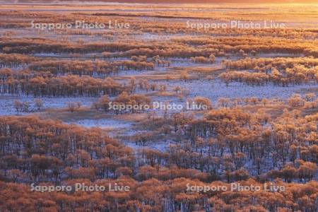 朝焼けに染まる霧氷の釧路湿原