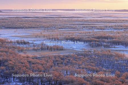 朝焼けに染まる霧氷の釧路湿原