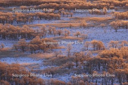 朝焼けに染まる霧氷の釧路湿原