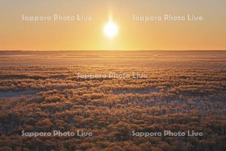 朝焼けに染まる霧氷の釧路湿原