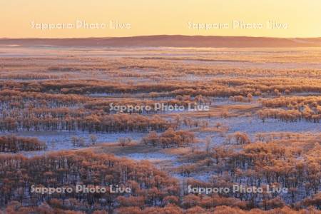 朝焼けに染まる霧氷の釧路湿原