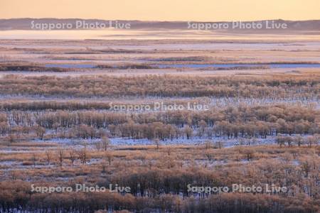 朝焼けに染まる霧氷の釧路湿原