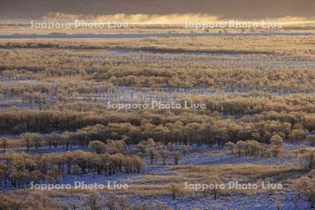 朝焼けに染まる霧氷の釧路湿原