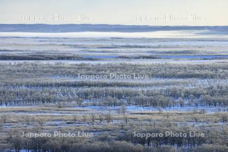 霧氷の釧路湿原