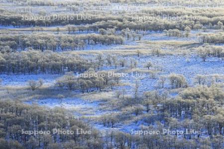 霧氷の釧路湿原